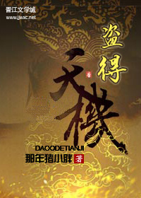 盗得天机